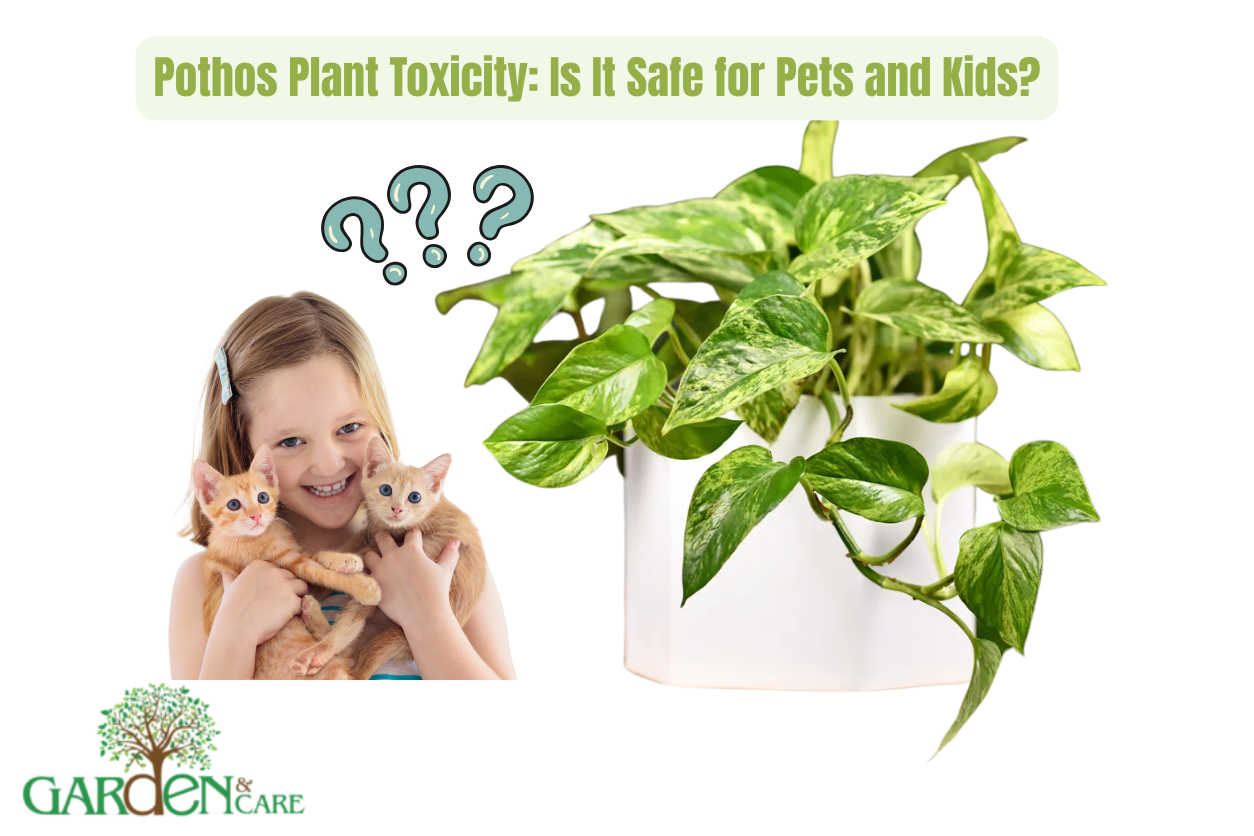 🌿 Pothos Plant Toxicity: Is It Safe for Pets and Kids?