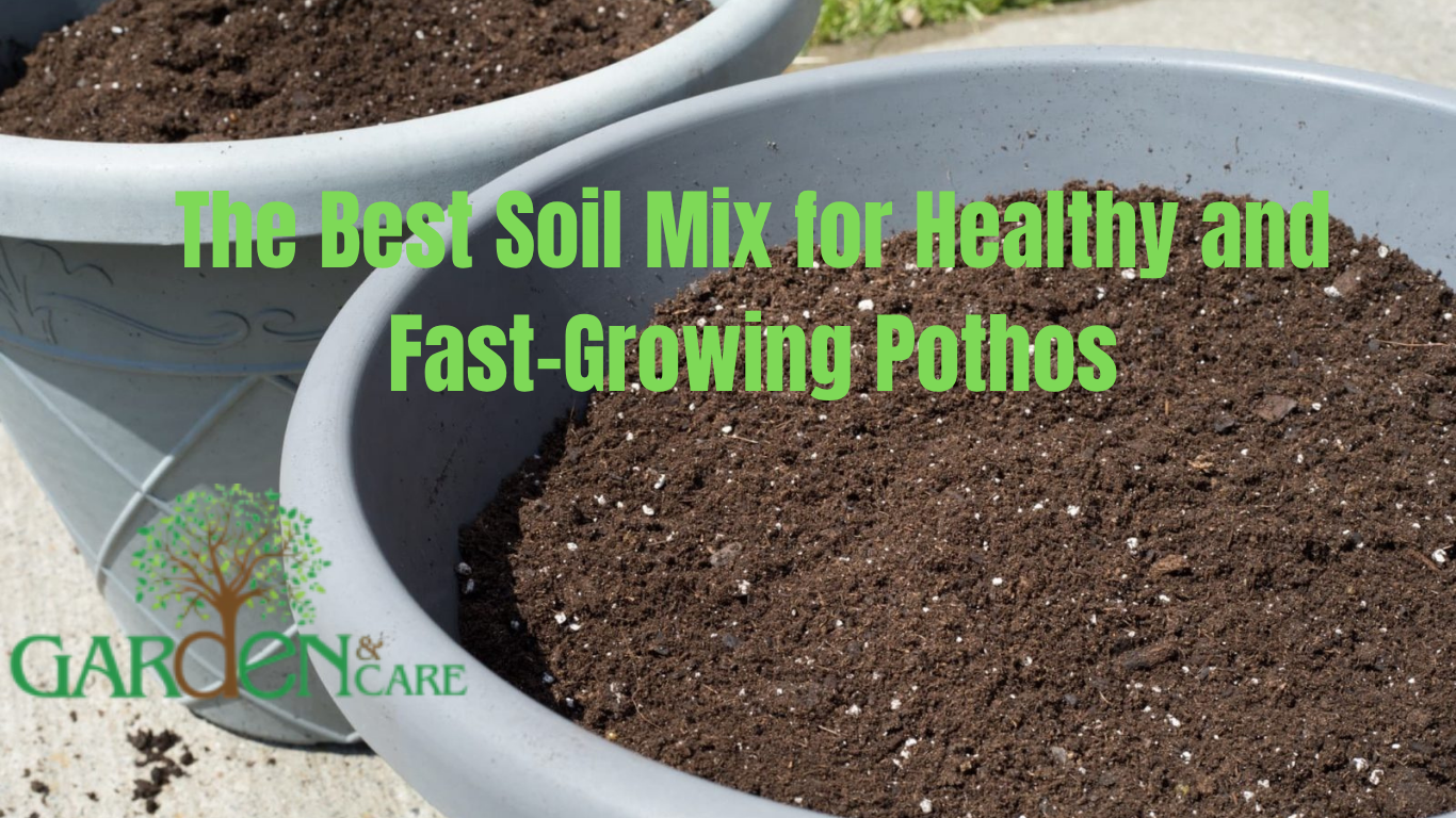 Best Soil Mix for Healthy and Fast-Growing Pothos