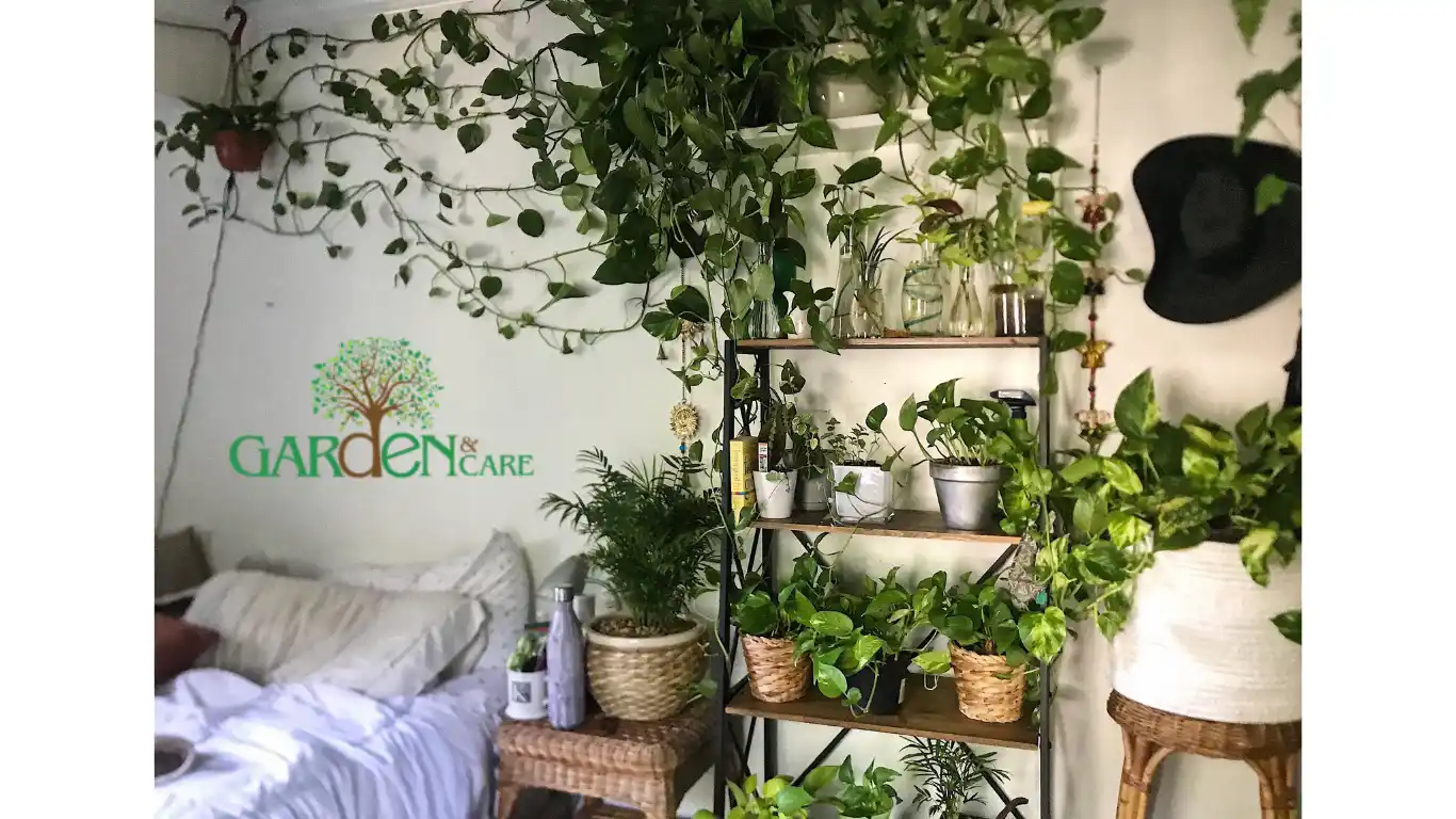 Best pothos plant holders for indoor use
